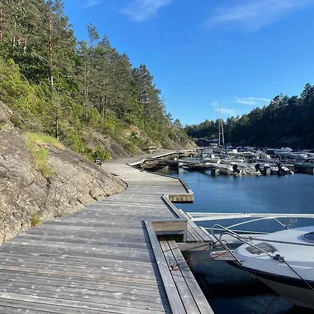 فيلة No7 أريسُر